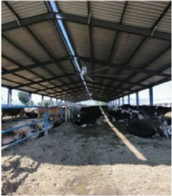 畜牧專用吊扇那家好