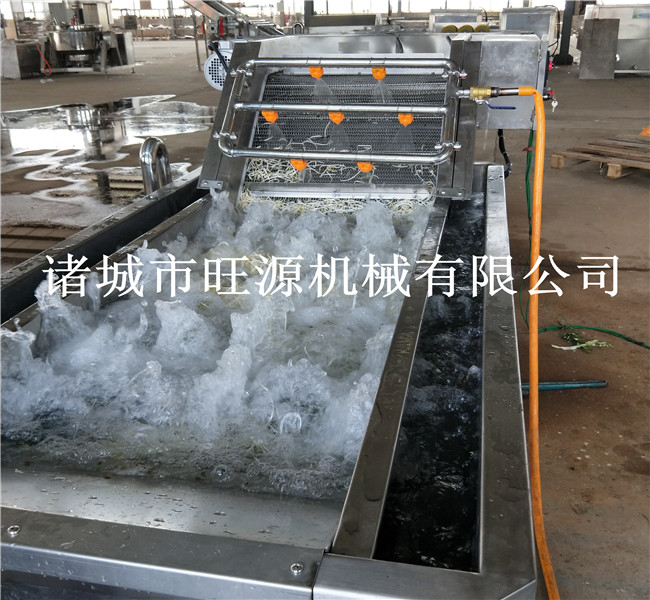 藍莓清洗機 全自動