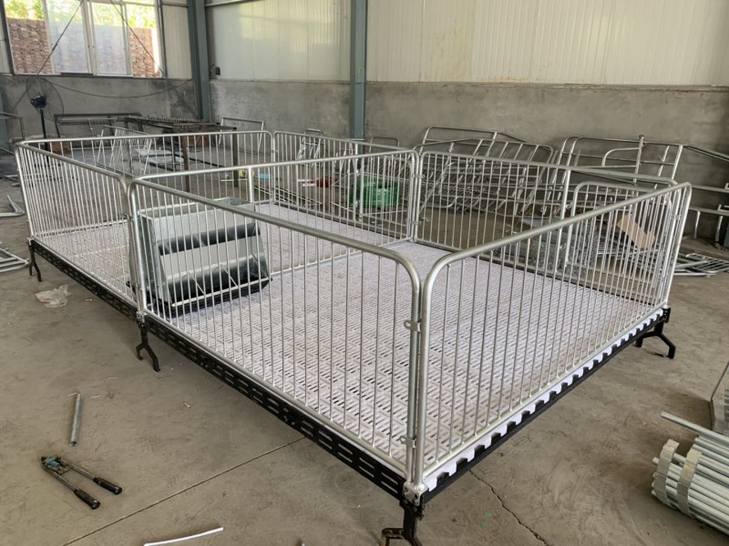 保育欄 泊頭市宏潤養殖器械廠家直銷