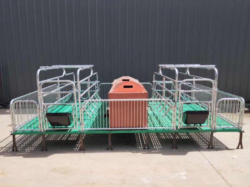 歐式母豬產床 宏潤養豬設備