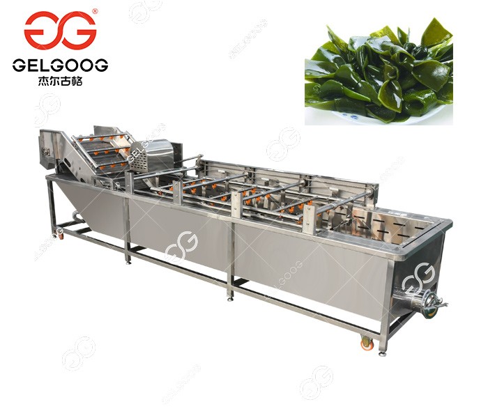 海帶清洗機 江蘇撥叉全自動清洗機 杰爾古格食品機械供應
