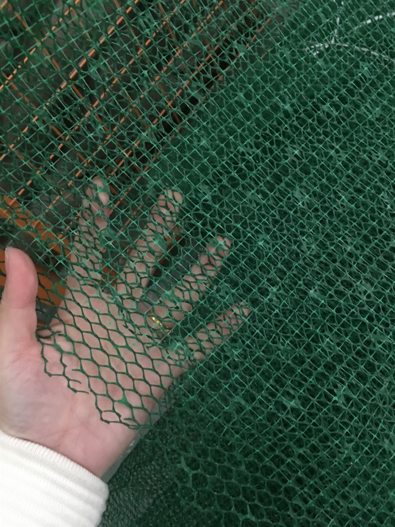 三維植被網三維護坡網三維植草網固土護坡網綠化土工網