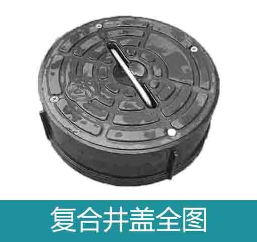 湖北龍康排水系統有限公司復合井蓋