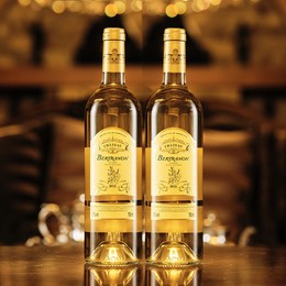 天津進口報關代理公司