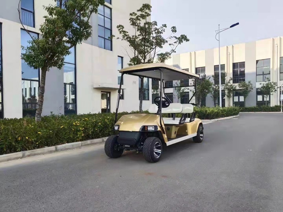 高爾夫球車8座6+2